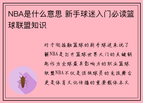 NBA是什么意思 新手球迷入门必读篮球联盟知识