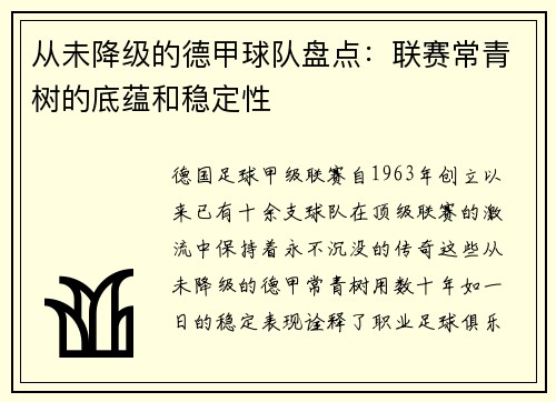 从未降级的德甲球队盘点：联赛常青树的底蕴和稳定性